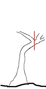 ESQUEMA_2.JPG