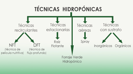 esquema_tecnicas_hidroponicas.jpg