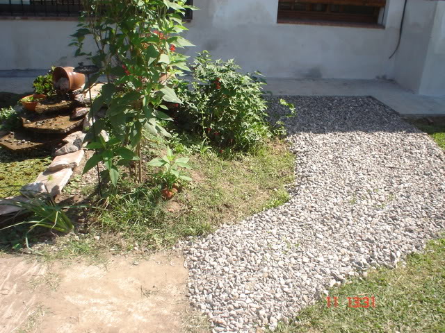 estank2y1126.jpg