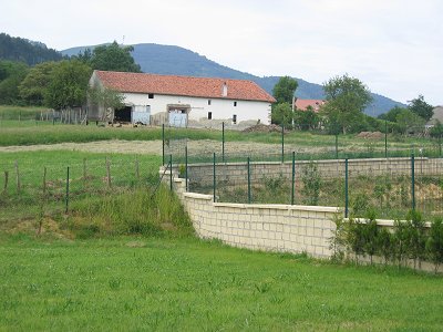 estanque%20antes.jpg