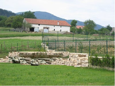 estanque%20despu%E9s.jpg