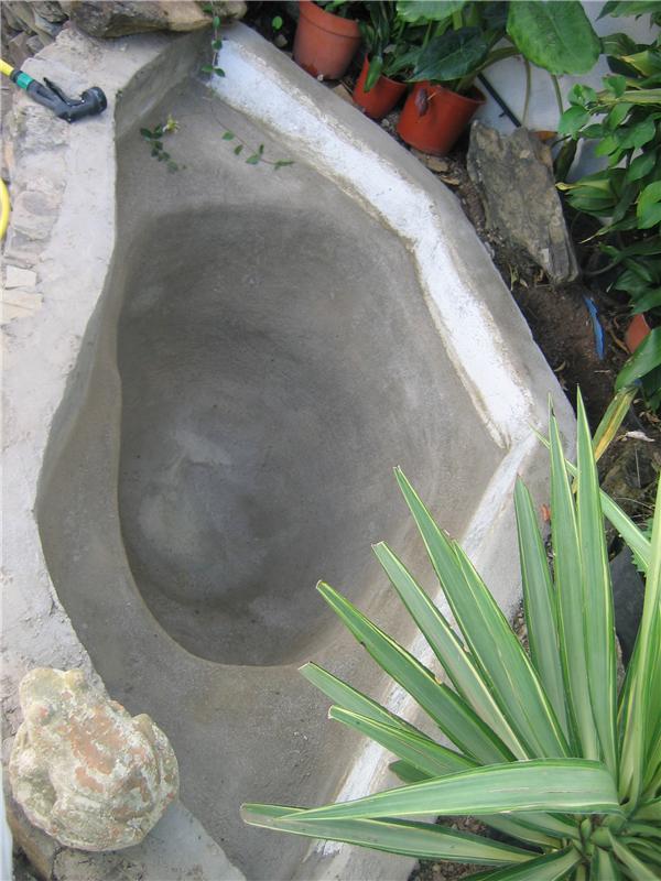 estanque foro2.jpg