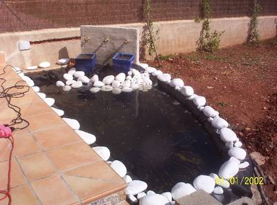 Estanque.JPG