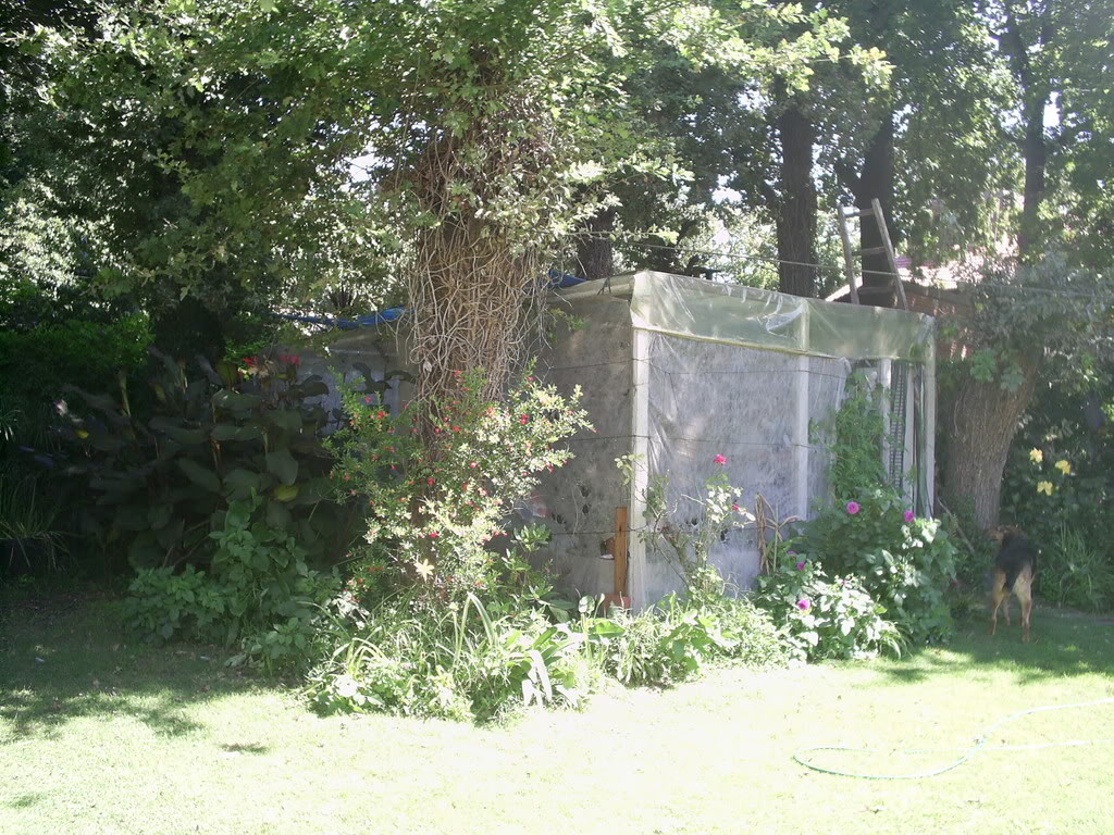 estanque015.jpg