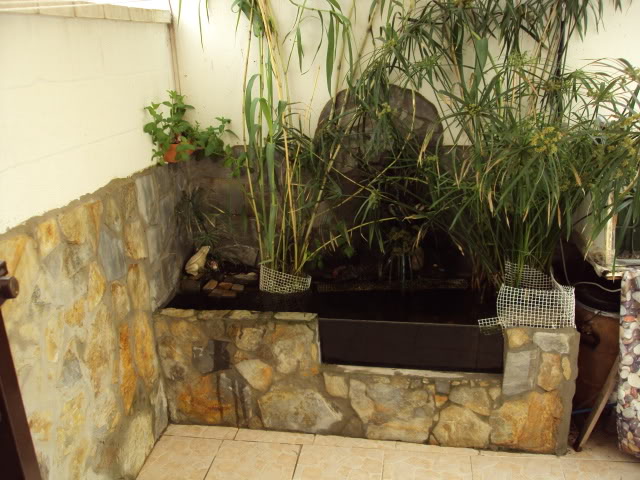 estanque23-04-201156.jpg