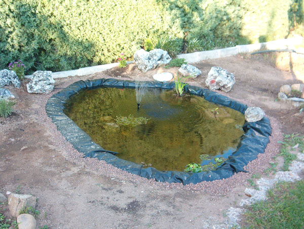 estanque4.jpg