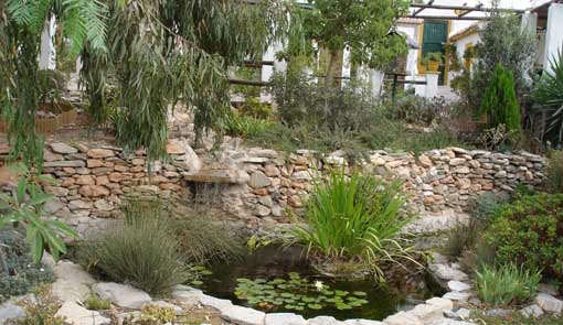 estanque5.jpg