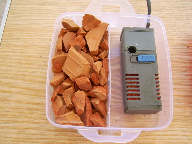 ESTANQUEABRIL0914.jpg