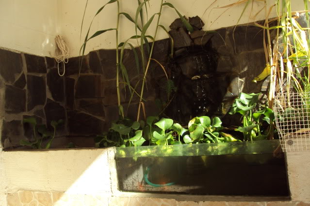 ESTANQUEAGOSTO0940.jpg