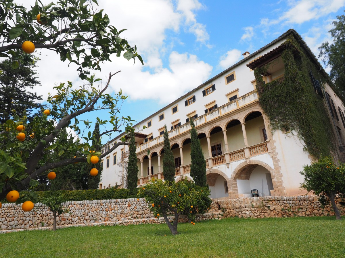 estate_raixa_historically_estate_raixa_bunyola_mallorca-833945.jpg