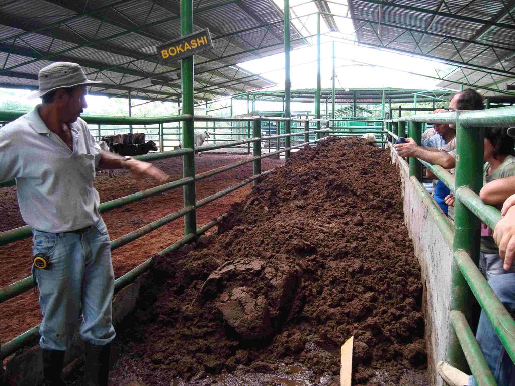 estirercolcontaminadode.jpg