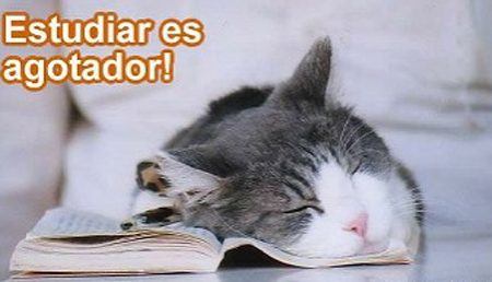 estudiar-me-agota.jpg