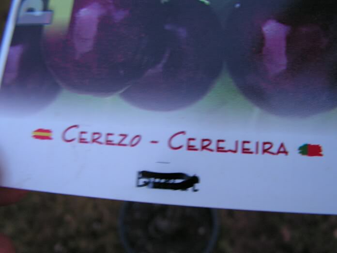 etiquetacerezo.jpg