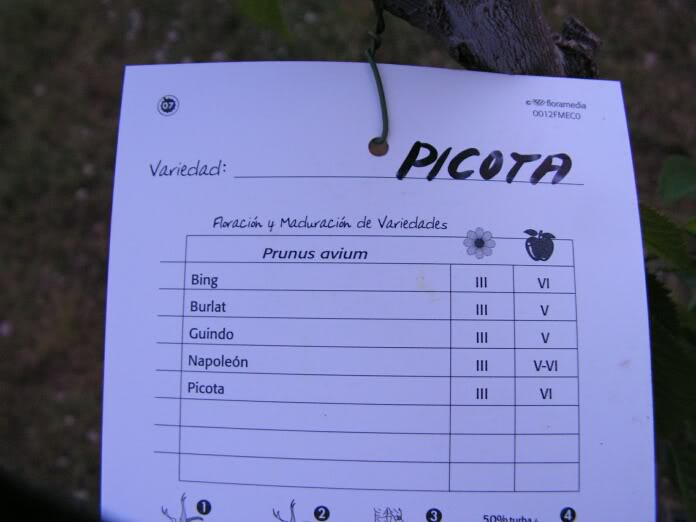 etiquetacerezo2.jpg