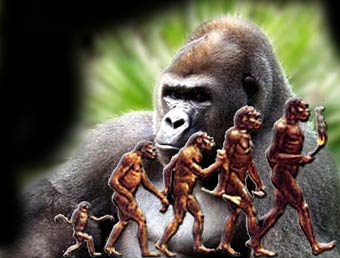 Evolucion.jpg