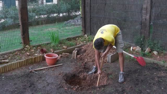 excavacion1.jpg