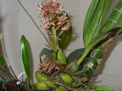 experimento_262.jpg
