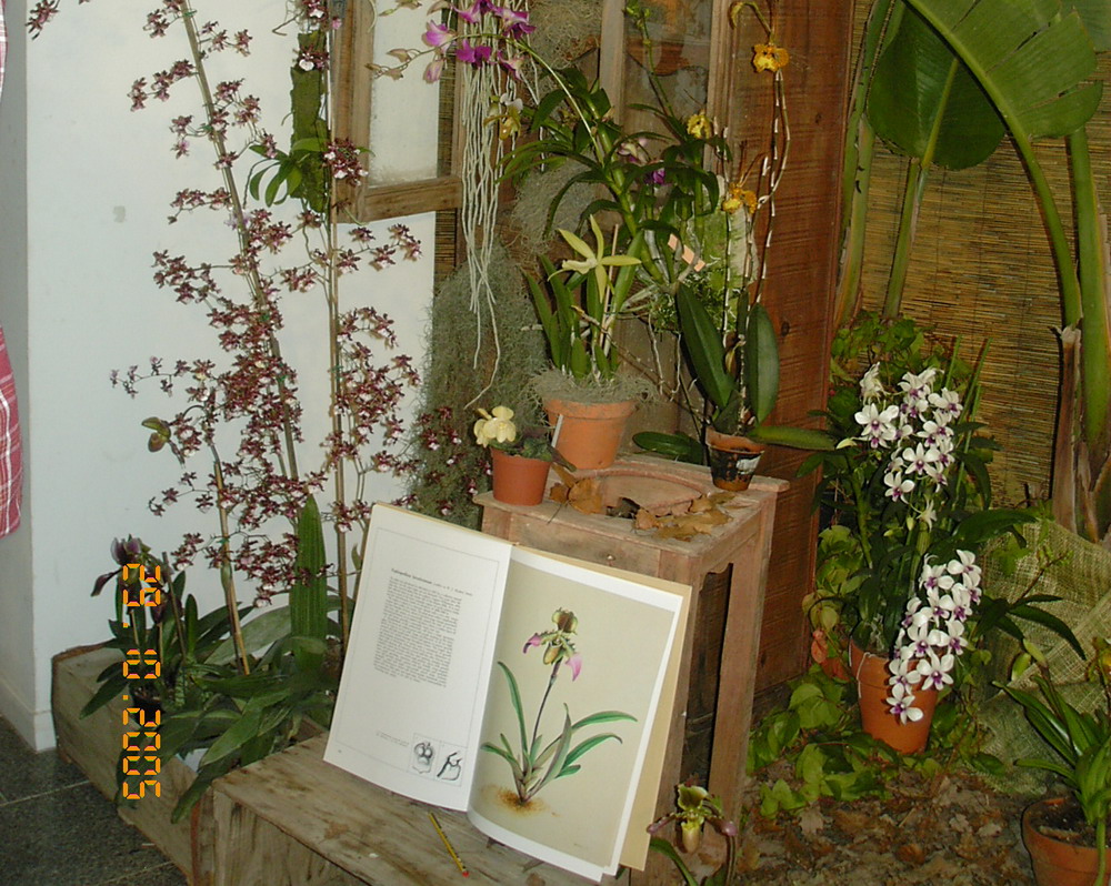 expo_barna_2.jpg