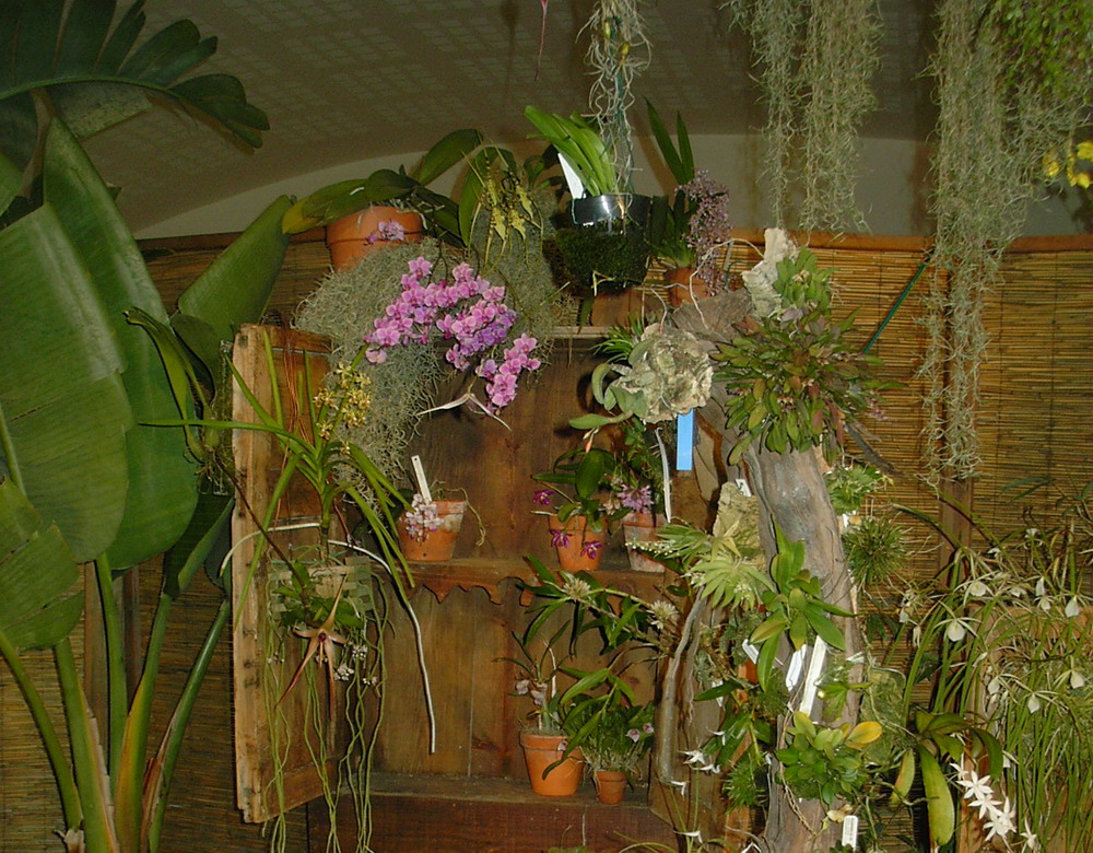 expo_barna_3.jpg