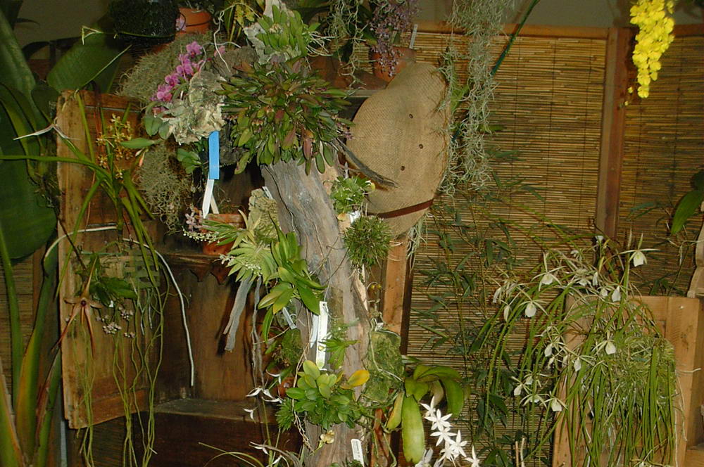 expo_barna_5.jpg