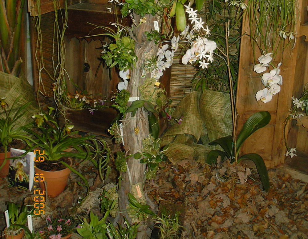 expo_barna_6.jpg