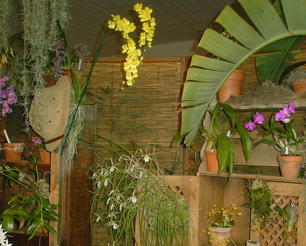 expo_barna_7.jpg