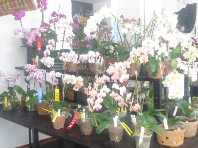 expocoban2009036.jpg