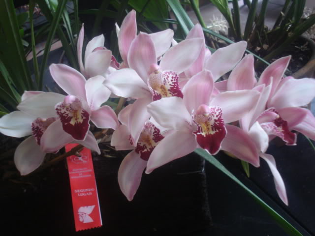 expocoban2009062.jpg