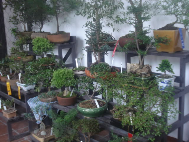 expocoban2009073.jpg