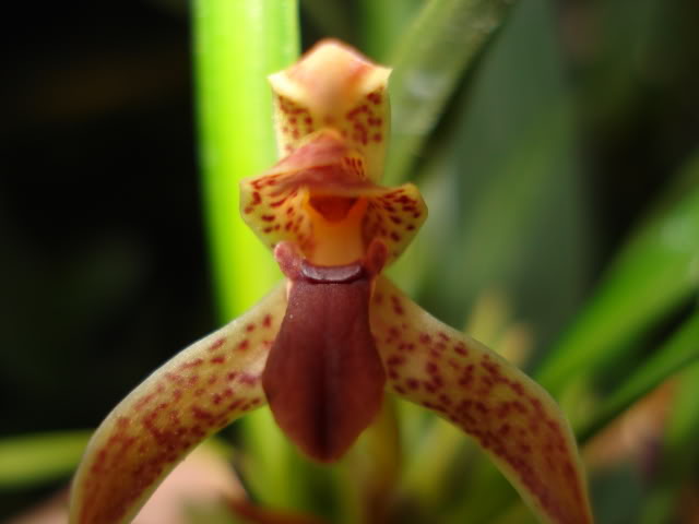 expoguate2010175.jpg