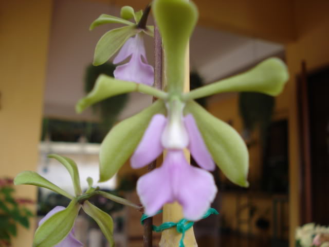 expoguate2010188.jpg