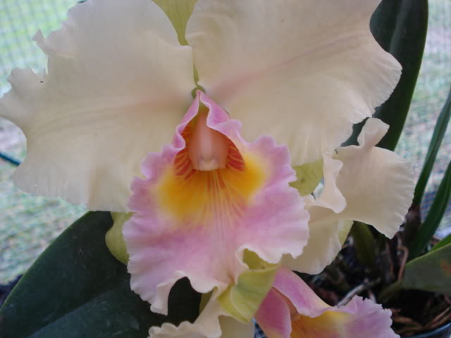 expoguate2010193.jpg