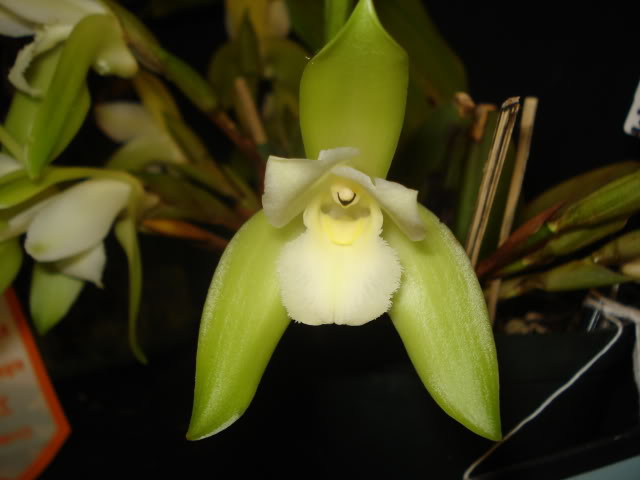 expoguate2010276.jpg