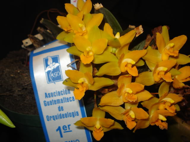 expoguate2010277.jpg