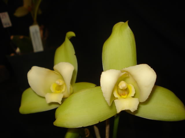 expoguate2010278.jpg