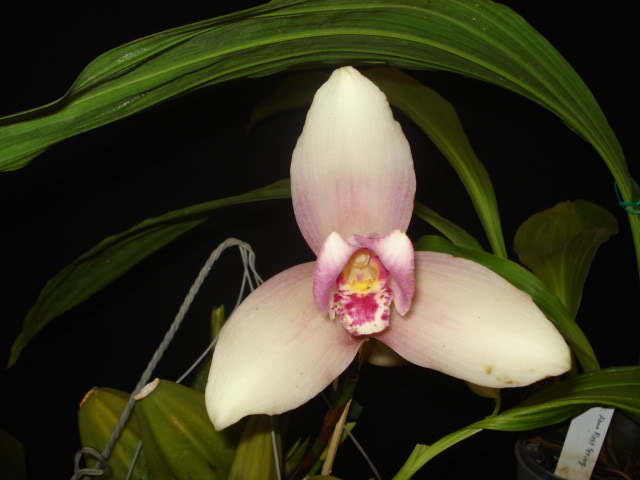 expoguate2010281.jpg