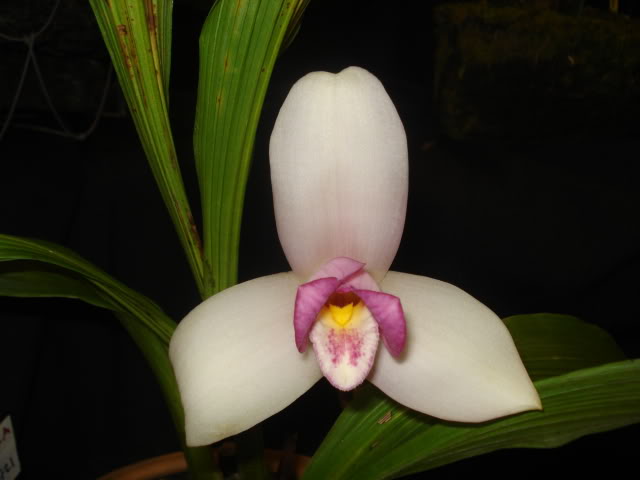 expoguate2010282.jpg