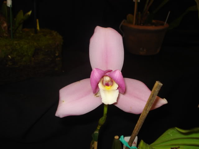 expoguate2010283.jpg