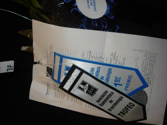 expoguate2010286.jpg