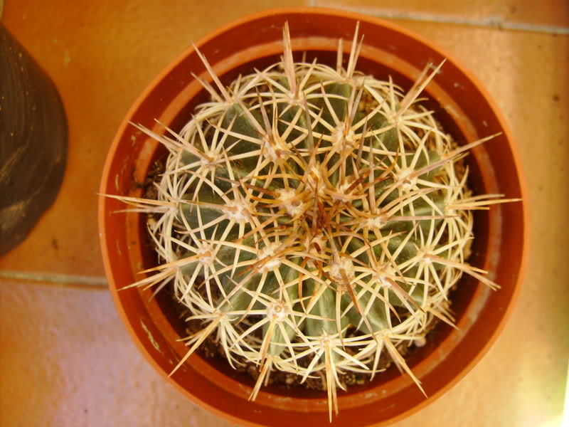 F00009016.jpg