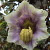 f00469_tn.jpg