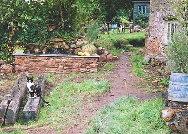 f039.jpg