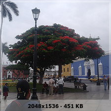 f0c704196d8fdddc6139034dba5b995eo.jpg