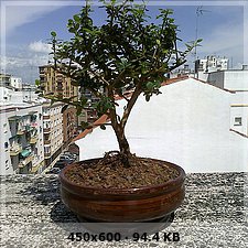 f2607e57e88c65fa150ec05bcf406803o.jpg