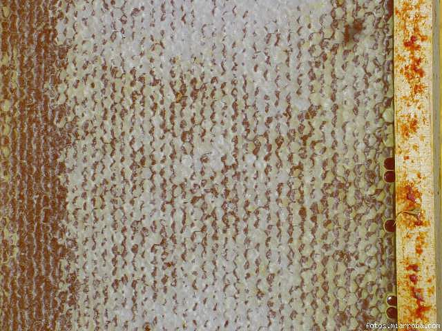 f2c0681b.jpg
