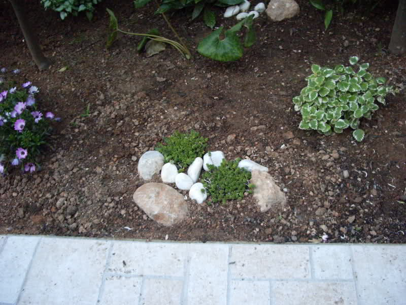 f2qa78.jpg
