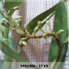 f3692e376b0206d632465ac264215330o.jpg