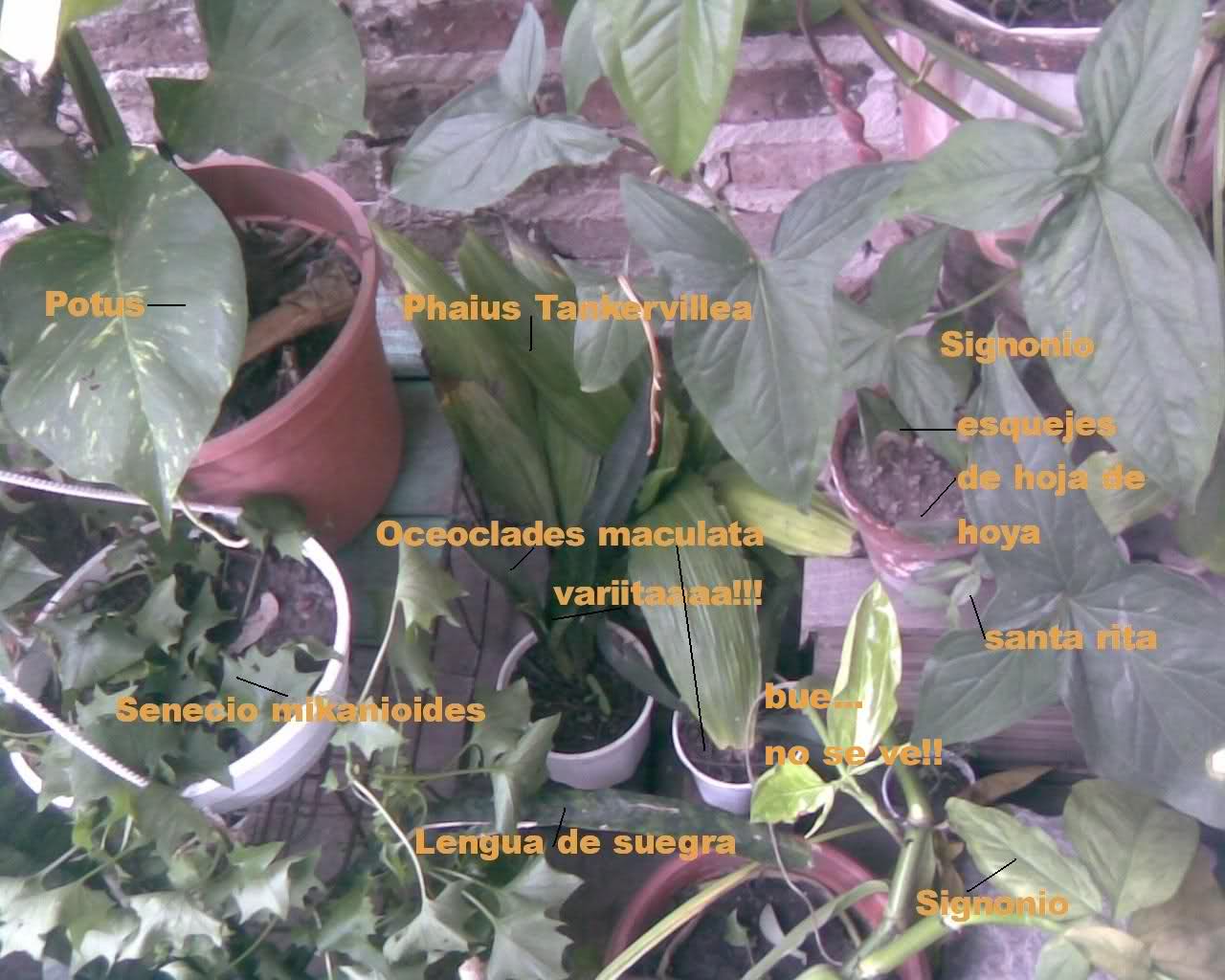 f372q9.jpg