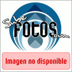 f394b4f66a78ec9f7e29be77b1556a8bo.jpg