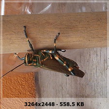 f39ae5d0b278b43f6123ad185616c5fco.jpg